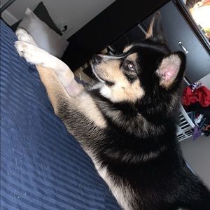 Meet your Posher, John